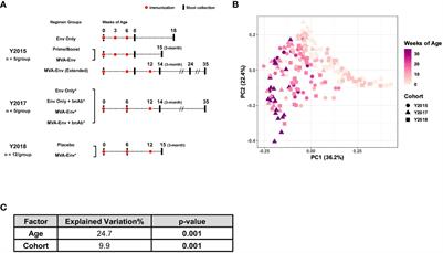 Sutterella and its metabolic pathways positively correlate with vaccine-elicited antibody responses in infant rhesus macaques